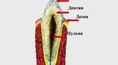 Промена на забите на чат: што треба да го знаете сопственикот